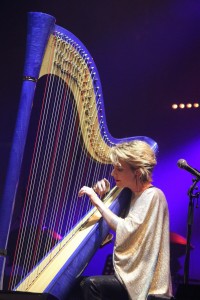 C FINCH harpe FIL 2014 #2