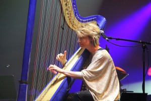 C FINCH harpe FIL 2014