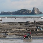 CANCALE-parc-à-huitres