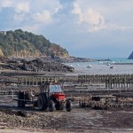 CANCALE parcs à huitres