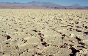 sel du salar ATACAMA