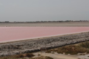 Salin de Giraud#1