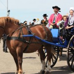 attelage fete des bruyeres