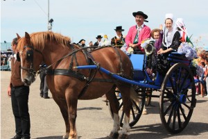 attelage fete des bruyeres