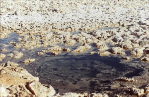 dépot sel SALAR ATACAMA