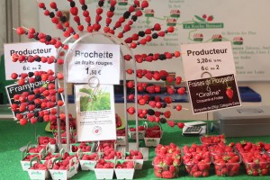 fraises de PLOUGASTEL