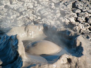 geyser EL TATIO boue volcanique CHILI