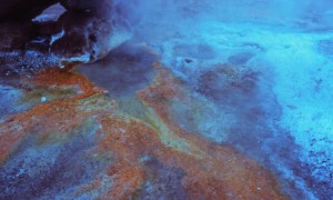 geyser EL TATIO fumerolles au sol