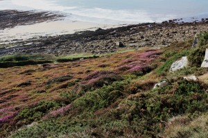 lande colorée CROZON