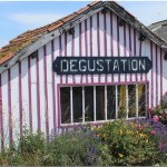 maison ostreicole degustation