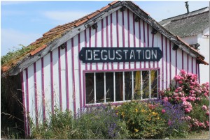 maison ostreicole degustation