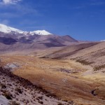 parc LAUCA et bofedales