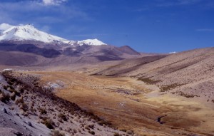 parc LAUCA et bofedales