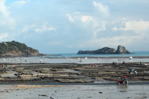 parcs à huitres CANCALE