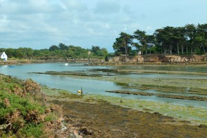 parcs à huitres RIA D'ETEL