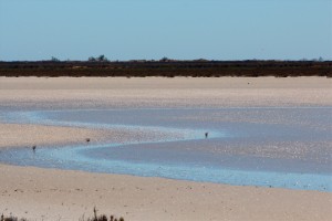 reflets étang Galabert