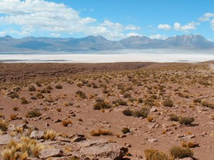 salar de HUASCO