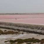 salines de Salin de giraud