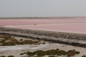 salines de Salin de giraud