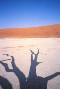 SOSSUSVLEI arbre-fantome