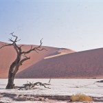 SOSSUSVLEI dunes