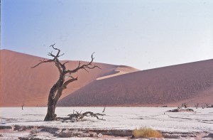 SOSSUSVLEI dunes