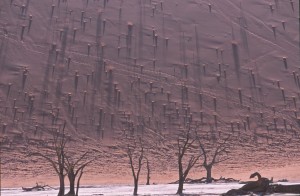 SOSSUSVLEI dunes contre jour