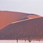 SOSSUSVLEI dunes#1