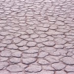 SOSSUSVLEI sol craquelé