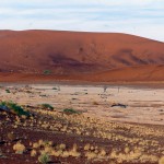 dunes SOSSUSVLEI #1