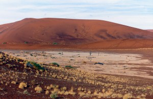 dunes SOSSUSVLEI #1