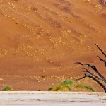 dunes SOSSUSVLEI #2