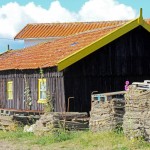 maison ostreicole La Tremblade