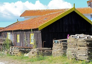 maison ostreicole La Tremblade