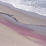 rivage Pacifique NAMIB