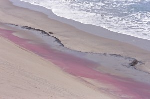 rivage Pacifique NAMIB