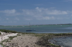 anse de trousse-chemise