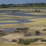 marais LILLEAU DES NIGES#2