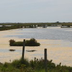 marais les portes en ré