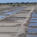 marais salants portes en ré