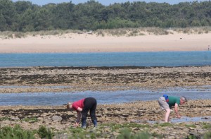 pêche à pied à la lasse