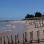 plage de l anse PORTES EN RE