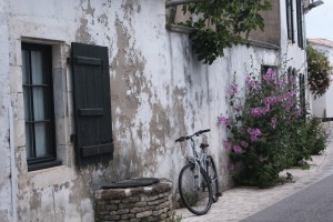 ruelle ARS en Ré