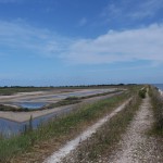 sentier mer et marais LOIX