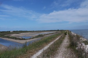 sentier mer et marais LOIX