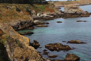 lande-et-lichens-port-sheul