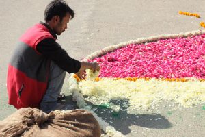 fleurs pour fete des couleurs