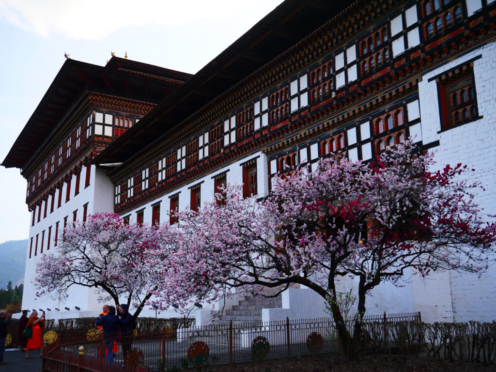 dzong PUNAKA